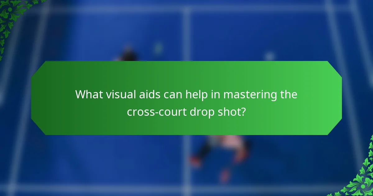What visual aids can help in mastering the cross-court drop shot?